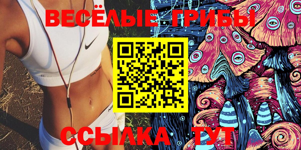 Щёлково  Псилоцибиновые грибы Psilocybe  Вход с VPN 