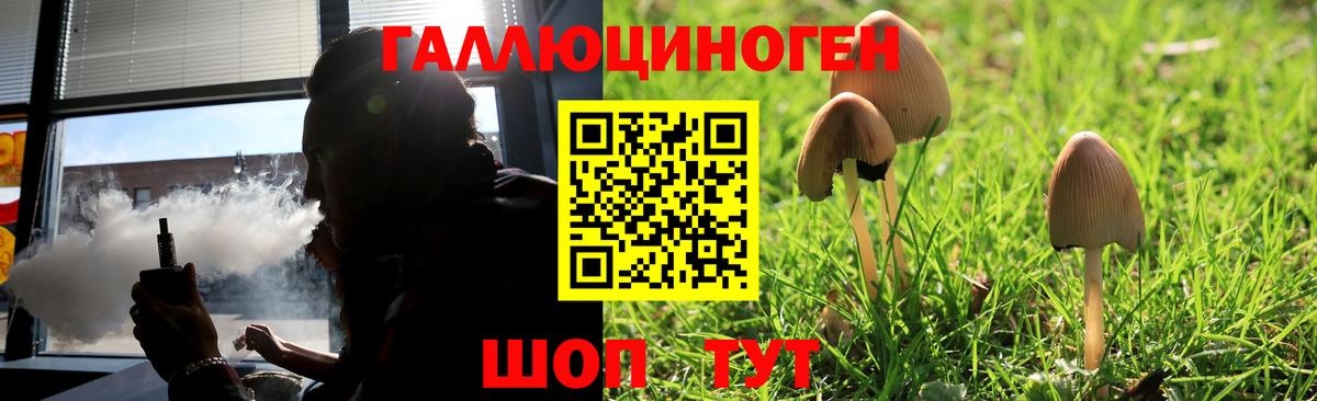 Галлюциногенные грибы Magic Shrooms Щёлково